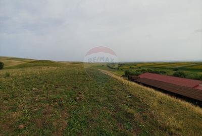 Teren agricol intravilan de 260000 mp, în Stroiești - 23