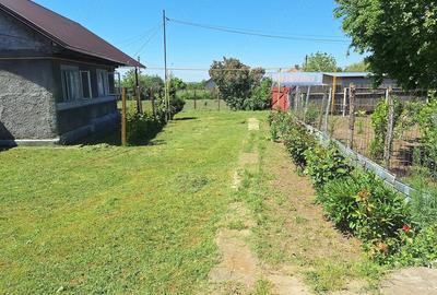 Casă cu Teren 1200 Mp în Ciorani - 4