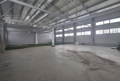 Spațiu industrial, în Iris - 3