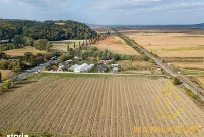 Teren de 22100 mp, în Răcăciuni