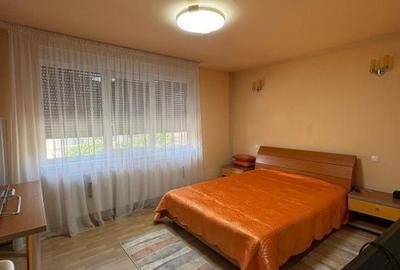 Casă cu 7 camere cu Teren 500 Mp în Valea Roșie