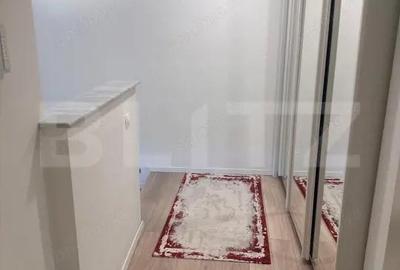 Apartament cu 4 camere decomandat în Calea Severinului - 18