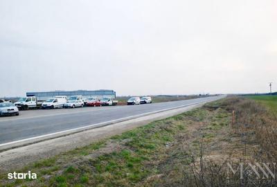 Teren de 15003 mp, în Saca - 1