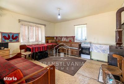 Casă cu 2 camere cu Teren 3463 Mp în Aluniș - 10