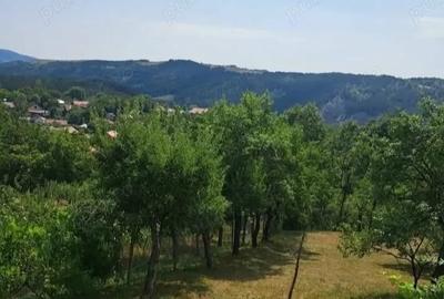 Casă cu 3 camere cu Teren 3000 Mp în Fârliug - 10