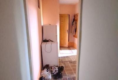 Apartament cu 2 camere în Tudor Vladimirescu