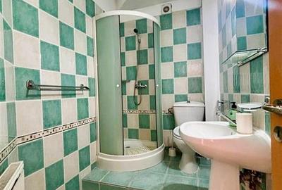 Casă individuală cu 10 camere cu Piscina în Malul Ursului - 21