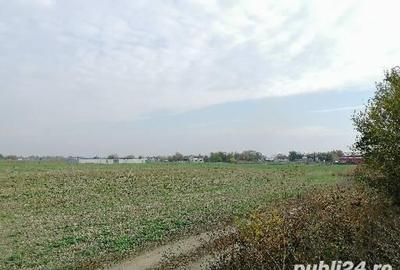 Teren de 585 mp, în Cornetu - 5