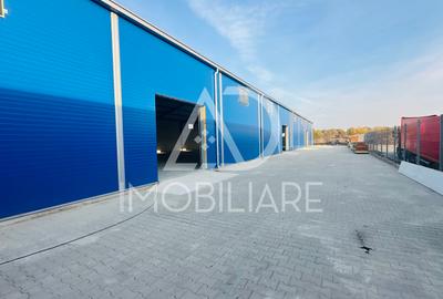 Spațiu industrial, de 1,000 mp, în Narciselor - 3