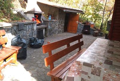 Casă cu 6 camere cu Teren 1300 Mp în Secăriei - 13