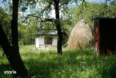 Teren de 2800 mp, în Central