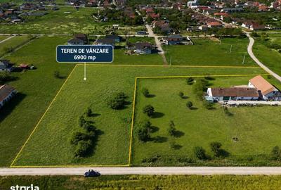Teren de 6900 mp, în Livada - 2