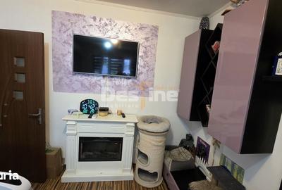 Apartament cu 2 camere, mobilat în Valea Rosie