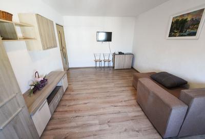 Apartament cu 2 camere decomandat, mobilat în Rovine - 11