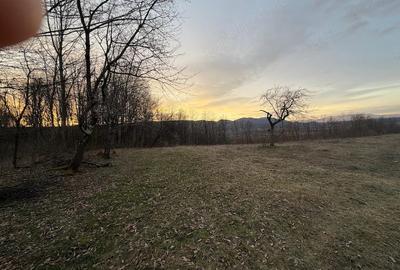Teren de 10000 mp, în Hălmagiu - 2