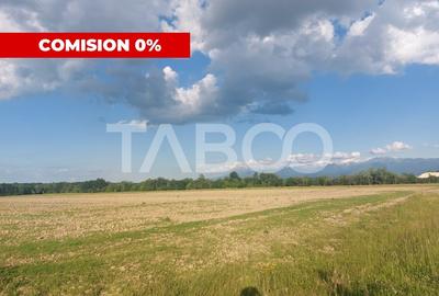 Teren agricol extravilan de 16500 mp, în Cisnădie - 1
