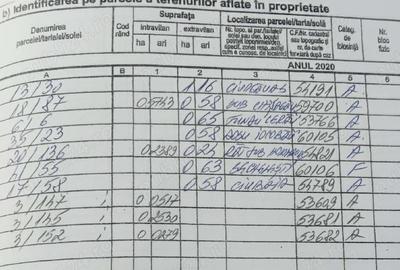 Teren în Borșa - 2