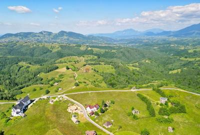 Teren Construcții intravilan de 13000 mp, în Șirnea - 17