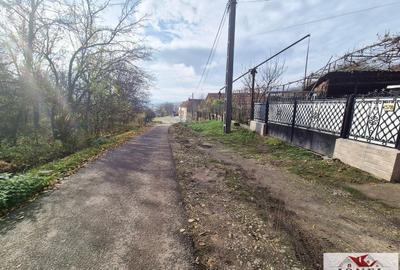 Casă individuală cu 3 camere cu Canalizare în Unirea - 10