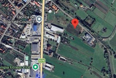 Teren de 5000 mp, în Lunca Oltului - 6