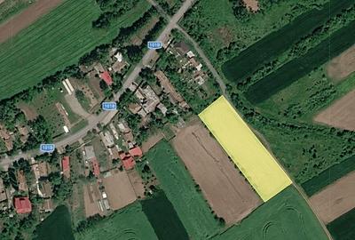Teren agricol intravilan de 3300 mp, în Merii Petchii - 3