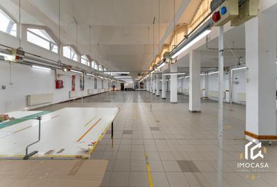 Spațiu industrial, de 1,450 mp, în Călanu Mic - 7