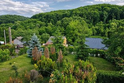 Casă cu Teren 1800 Mp în Enculești - 4