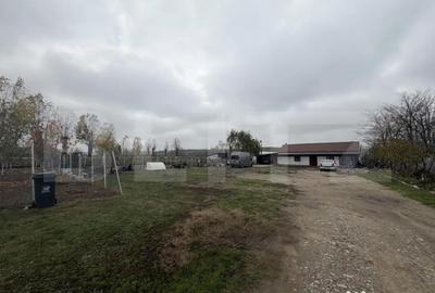 Teren de 11500 mp, în Central