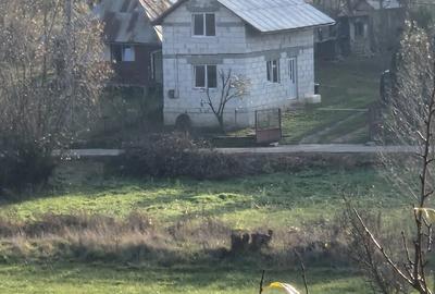 Teren de 1400 mp, în Mociu - 4