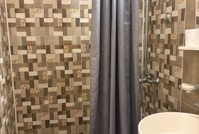 Apartament cu 2 camere semidecomandat în Ultracentral - 10