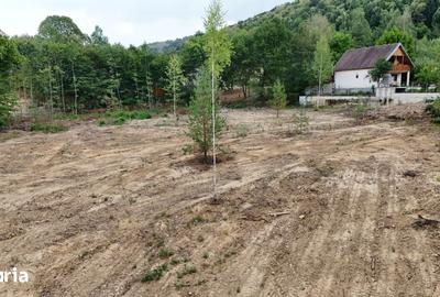 Teren de 5000 mp, în Central