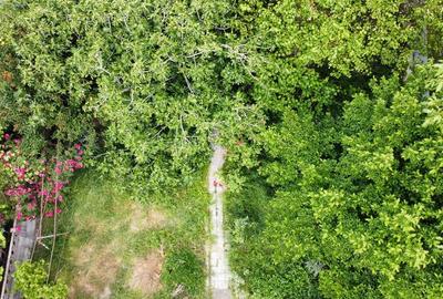 Casă cu 3 camere cu Canalizare în Parcul Carol - 16