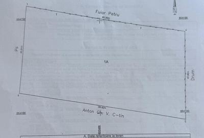 Teren de 2681 mp, în Trifești