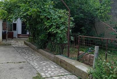 Casă cu 4 camere cu Teren 300 Mp în Tei