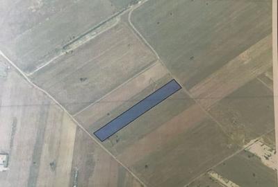 Teren Construcții intravilan de 10759 mp, în Ciorogârla - 1