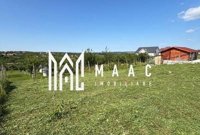 Spațiu comercial, în Daia