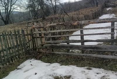 Teren de 1200 mp, în Teșila - 2