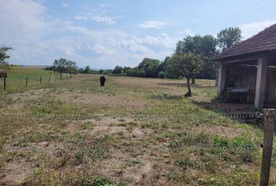 Casă în Topa de Criș - 5