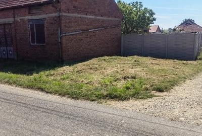 Casă cu 4 camere cu Teren 4113 Mp în Sacoșu Mare