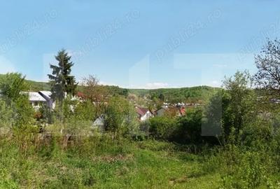 Teren Construcții intravilan de 800 mp, în Viforâta