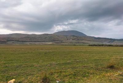 Teren de 600 mp, în Central - 6
