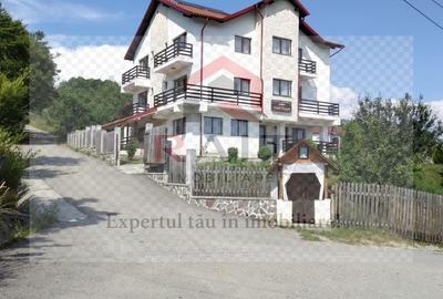 Hotel/Pensiune, de 450 mp, în Arefu