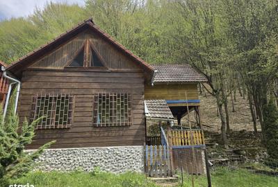 Casă cu 4 camere în Ighiel - 10