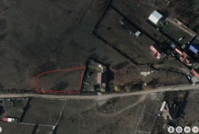 Teren Construcții intravilan de 1327 mp, în Cărpiniș - 4