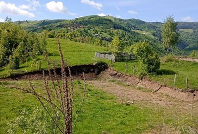 Teren de 2000 mp, în Central