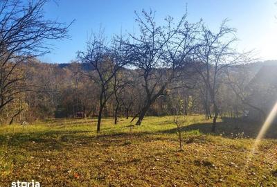 Teren de 1427 mp, în Moțăieni
