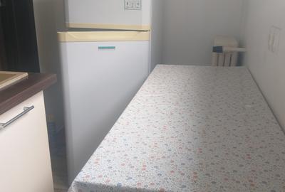 Garsonieră decomandată, mobilată în Universitate - 13