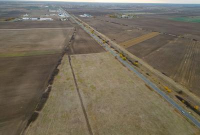 Teren agricol extravilan de 22500 mp, în Est - 11