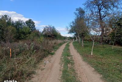 Teren de 2819 mp, în Calea Caransebeșului