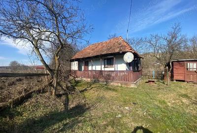 Teren de 5400 mp, în Cămărașu - 2